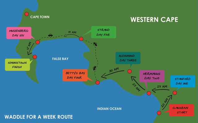 Gansbaai Waddle for a week_1